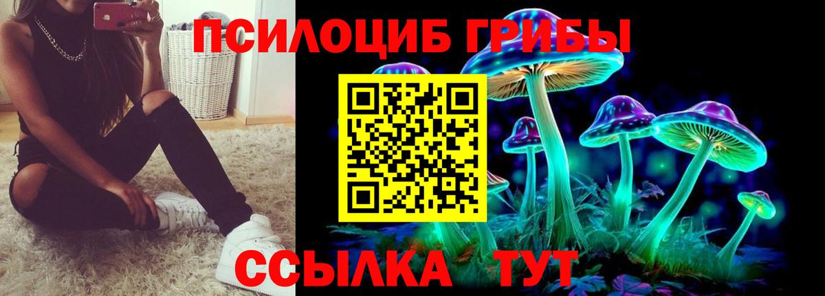 Галлюциногенные грибы мицелий  Галлюциногенные грибы Psilocybe  Вход с VPN  Улан-Удэ 